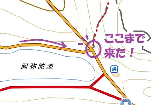 map_amida_g2.jpg