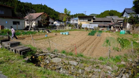 s-22年4月8日 (16)