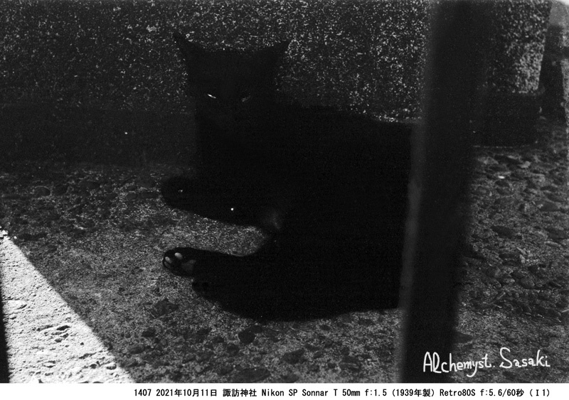 黒猫1407-42