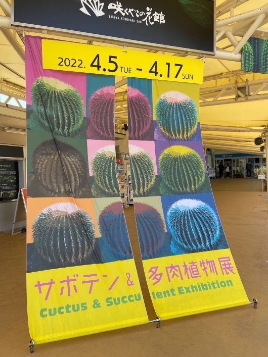 大阪サボテン展①2022