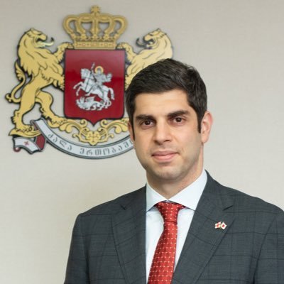 駐日ジョージア大使 ティムラズ・レジャバ