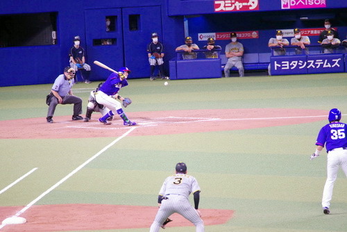 IMGP7383_2022072211524720e.jpg