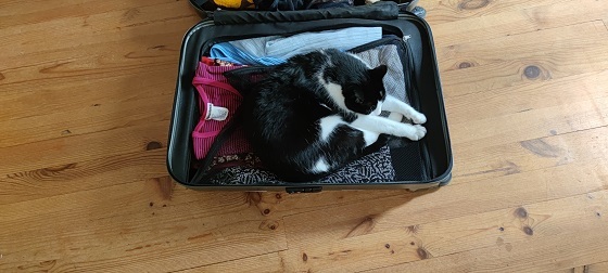 Lulu valise