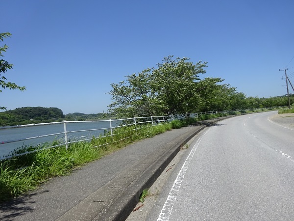 220625上総鶴舞_高滝湖 (41)