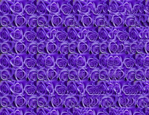 スマフォ用オートステレオグラム画像視力回復効果紫のばら
