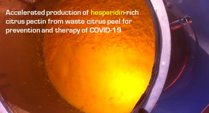 COVID-19の予防と治療のための廃棄柑橘類の皮からのヘスペリジンに富む柑橘類ペクチンの生産の加速