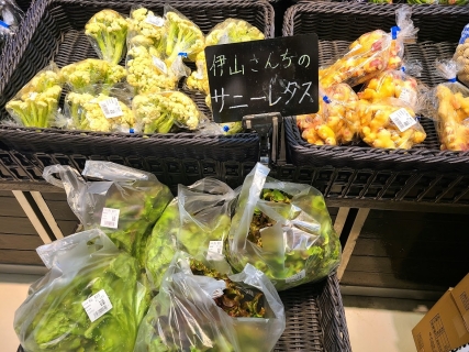 スーパー三和で取り扱っている人気の地場野菜 (2)
