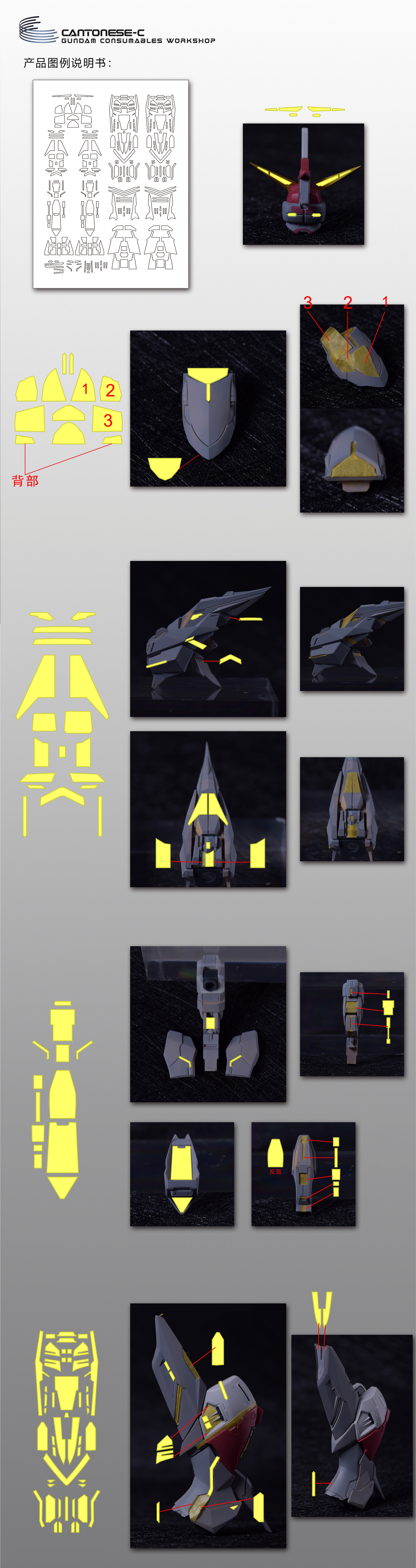 G880_Fortune_Meows_Studio_MG_006.jpg