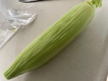6_20220812133528e09.jpg