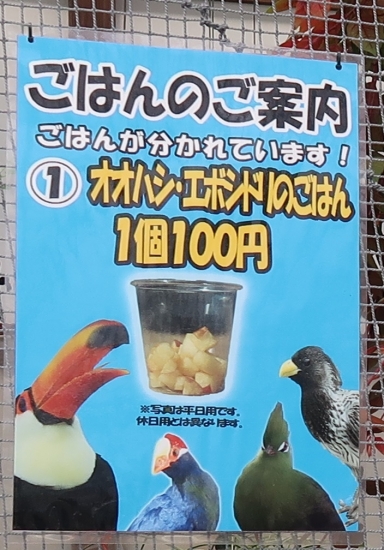 掛川花鳥園オオハシとエボシドリのごはん
