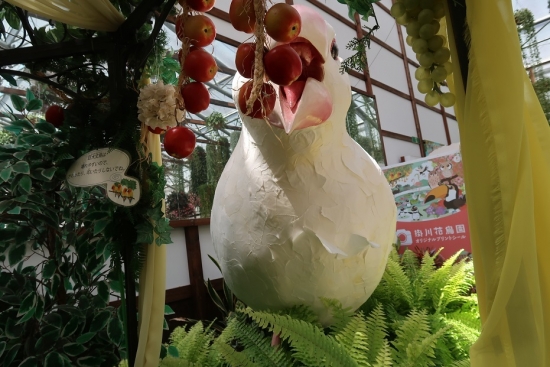 掛川花鳥園屋内 巨大ブンチョウ