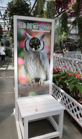 掛川花鳥園アフリカオオコノハズクの顔はめ看板