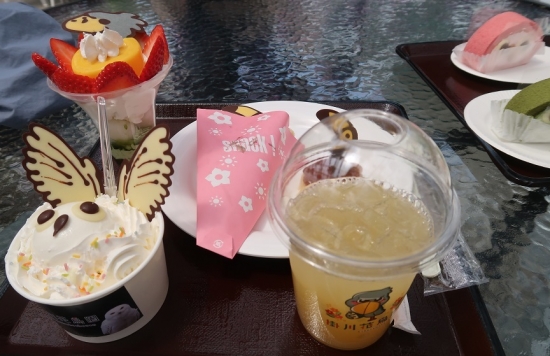 掛川花鳥園シロフクロウの真っ白アイス,オオハシクレープとふたばのShizuoka満喫パフェ