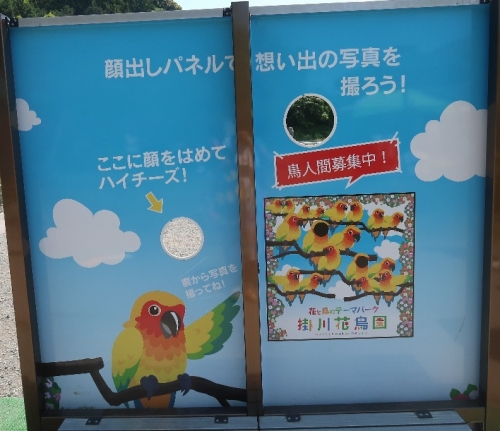 掛川花鳥園　顔ハメ看板の裏側