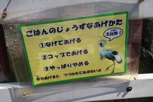 掛川花鳥園ホオジロカンムリヅル