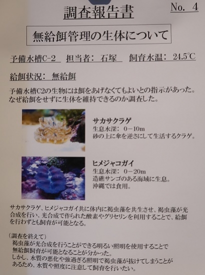 沼津港深海水族館 特別展 女性飼育員トリオのお仕事報告書