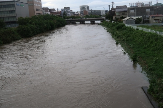 大雨後の馬込川
