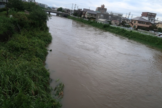 大雨後の馬込川