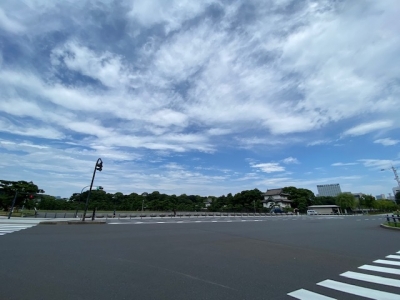 image3 (83)
