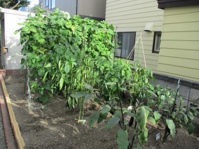 IMG_2539_convert_20220901214053.jpg