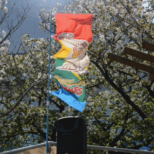 (blos)2022年04月09日イヌリンピック桜花祭 (1)