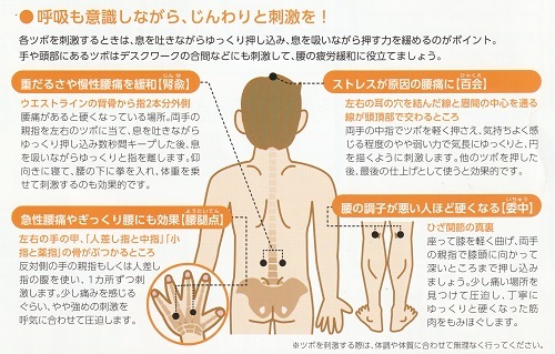 腰痛のツボ　腰のツボ　女性　鍼灸　東京　2022