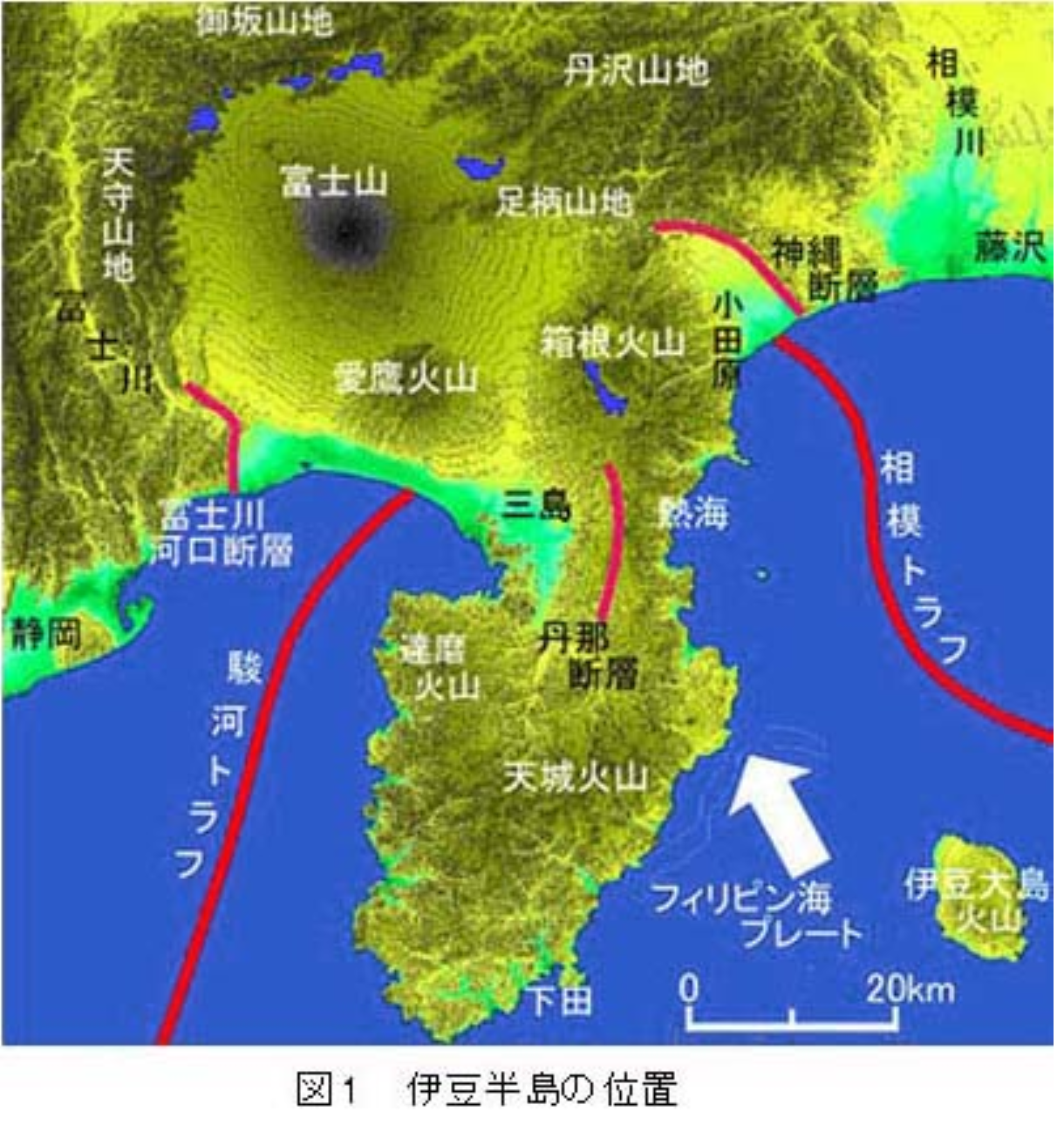 伊豆半島とトラフ