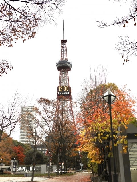 6札幌市大通公園近くのテレビ塔