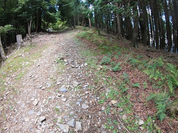 比叡山ドライブウェイ　下見ツーリングはガチツーリング　比叡山頂　道のり