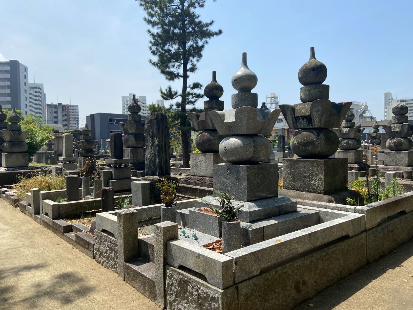 崇福寺　墓地